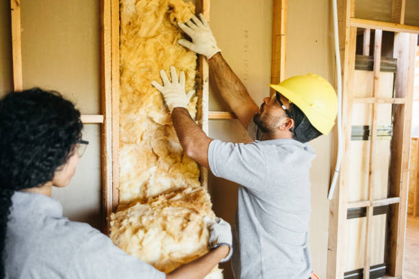 Best Insulation Repair Services  in Oneonta, NY