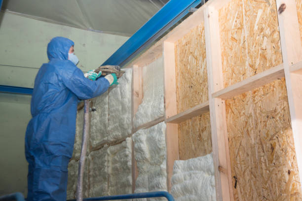 Best Spray Foam Insulation  in Oneonta, NY